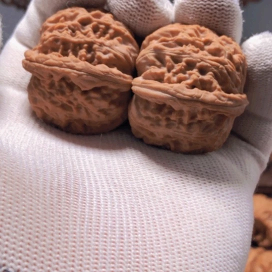 核桃全品无修白狮子