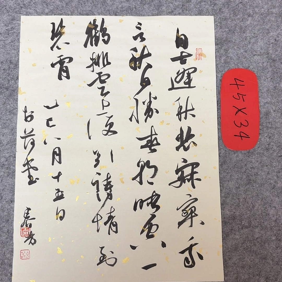 书法国展书家麻春芳45+34