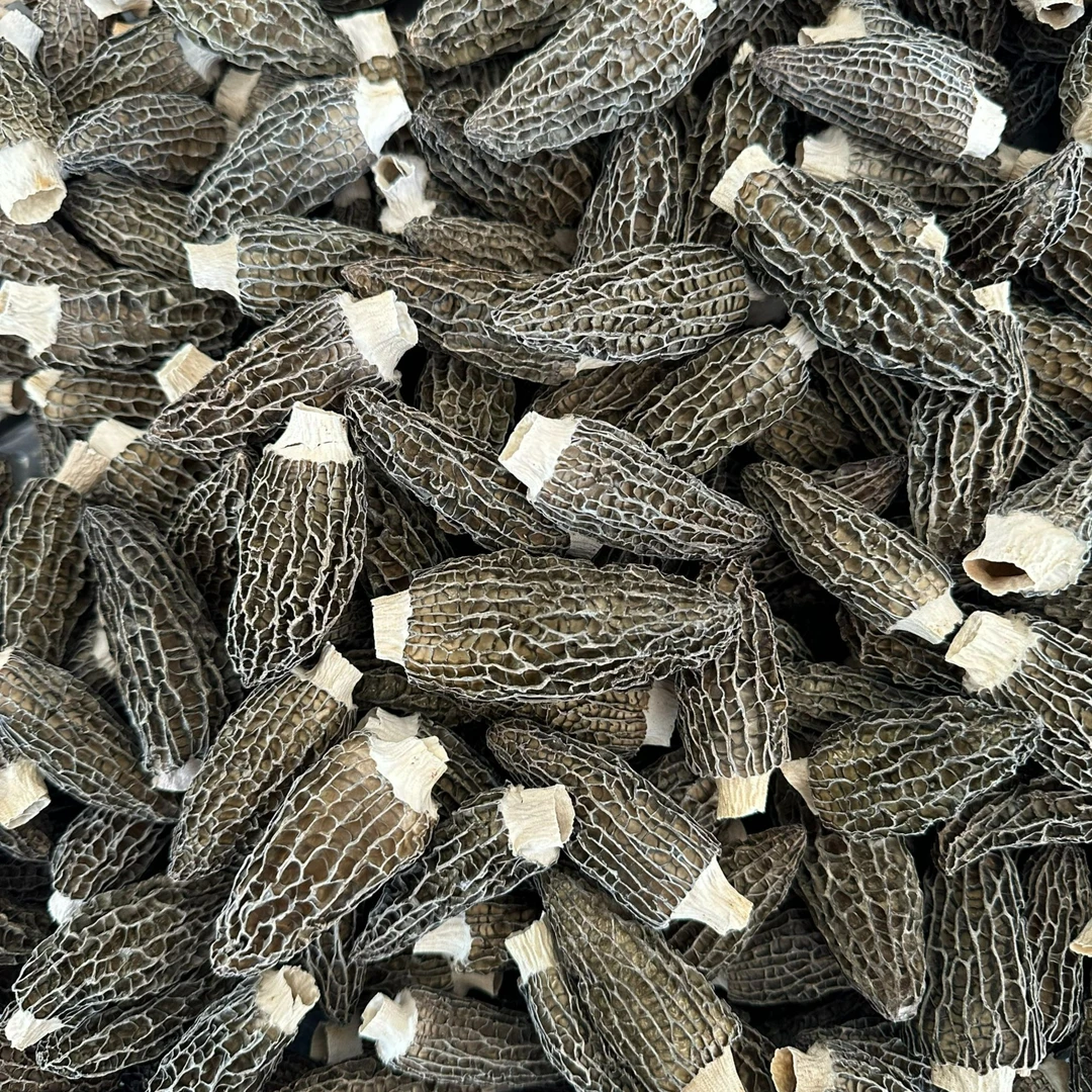 农家羊肚菌无硫熏煲汤好食材汤鲜味美