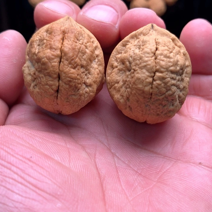 桃核把件11111111111111