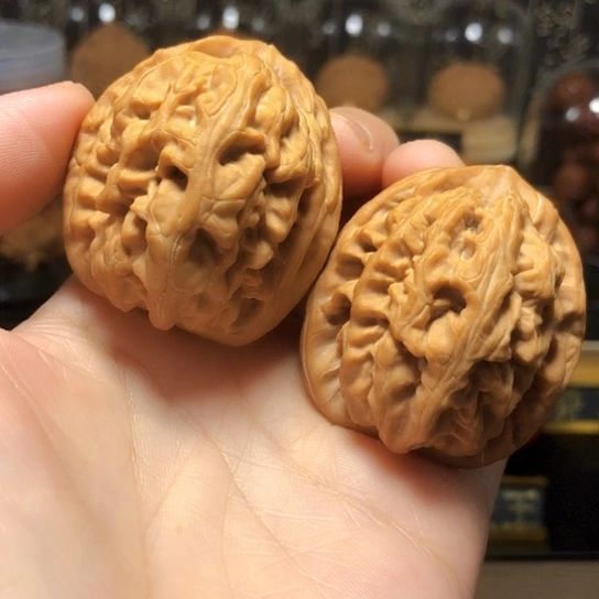高端小众：红锦鲤