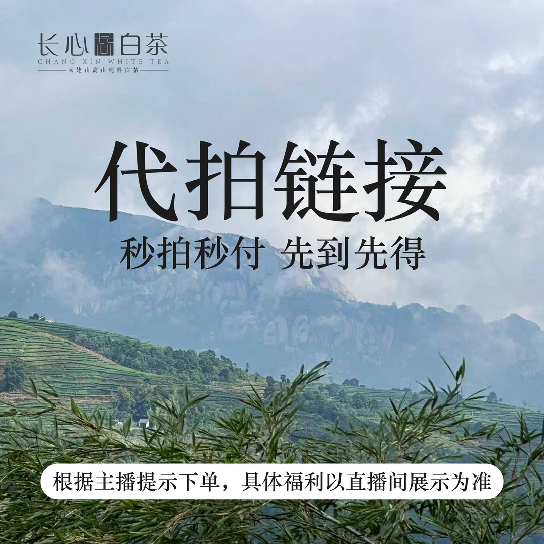 【代拍链接】银针孤品福利1-1-1
