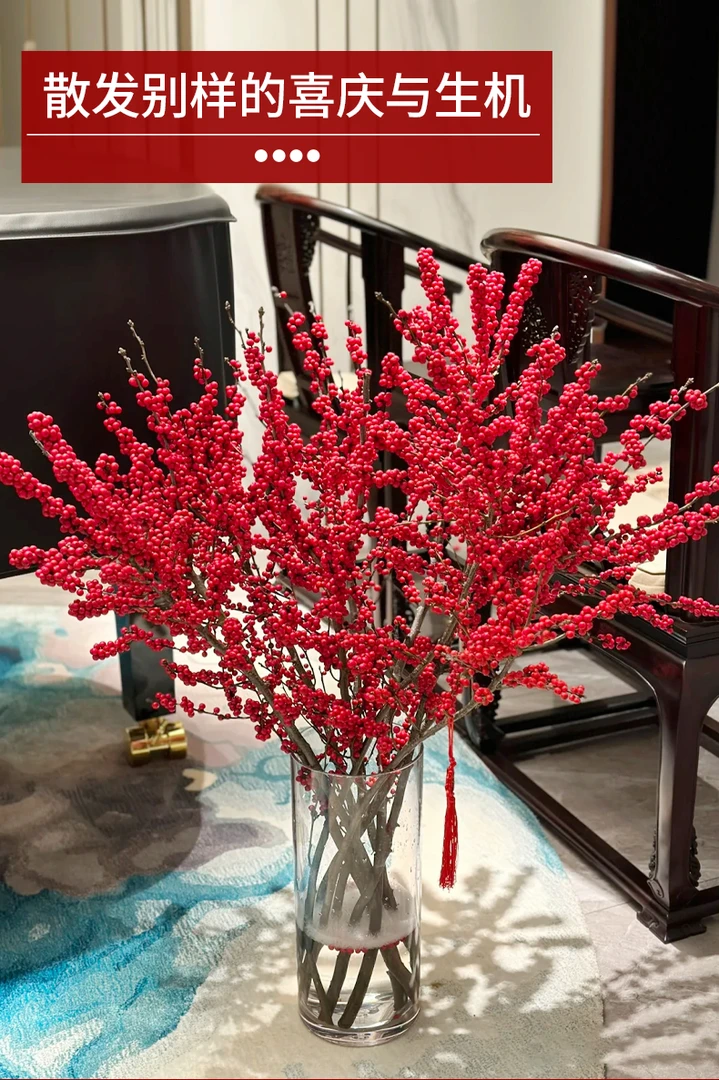 【状元红100-110cm】北美冬青年宵花（三分之一内掉果属正常不售后）