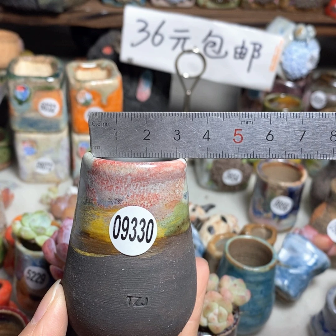 花盆拍5送一个小礼物
