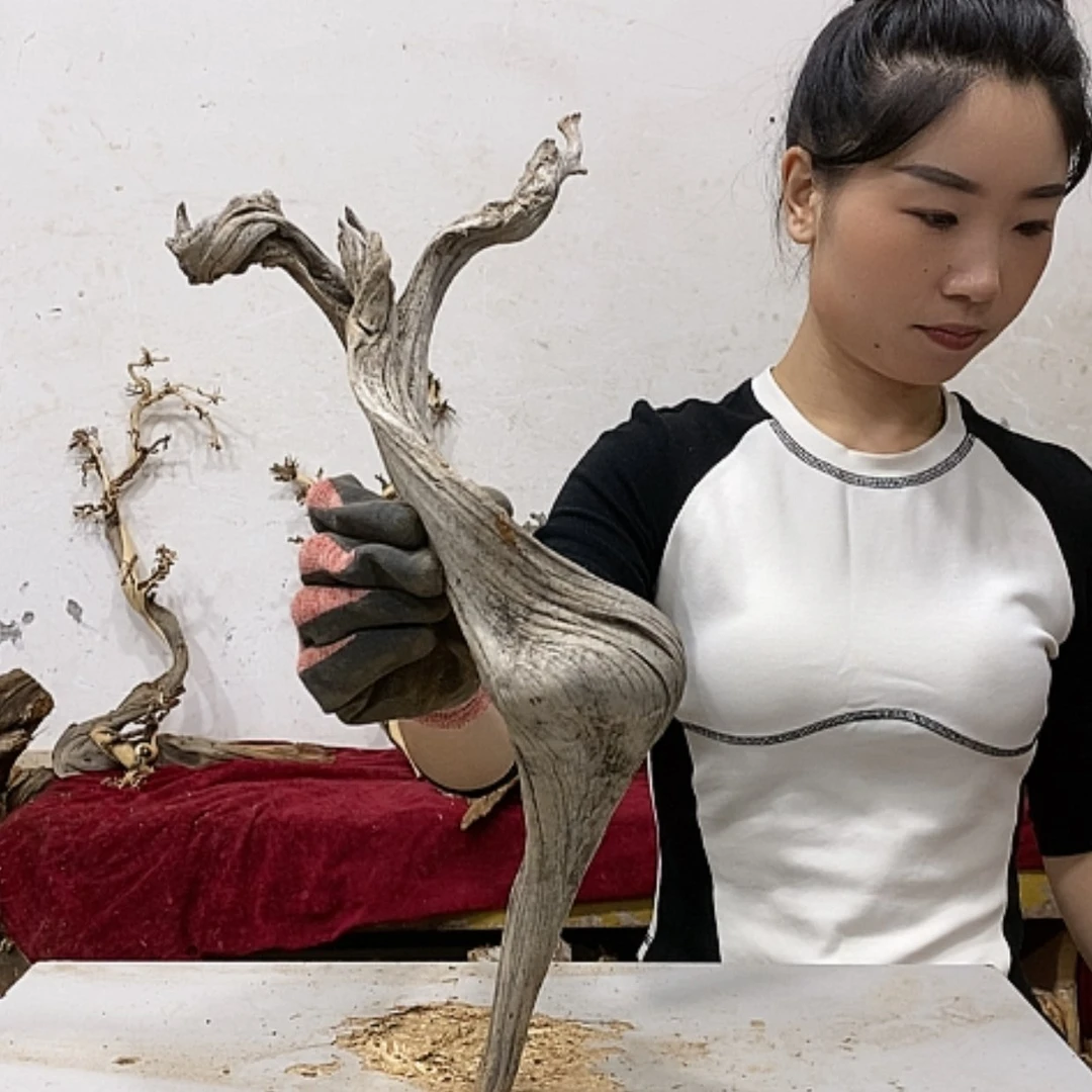 【闪购商品】柏木亲*哥我们都是好孩子