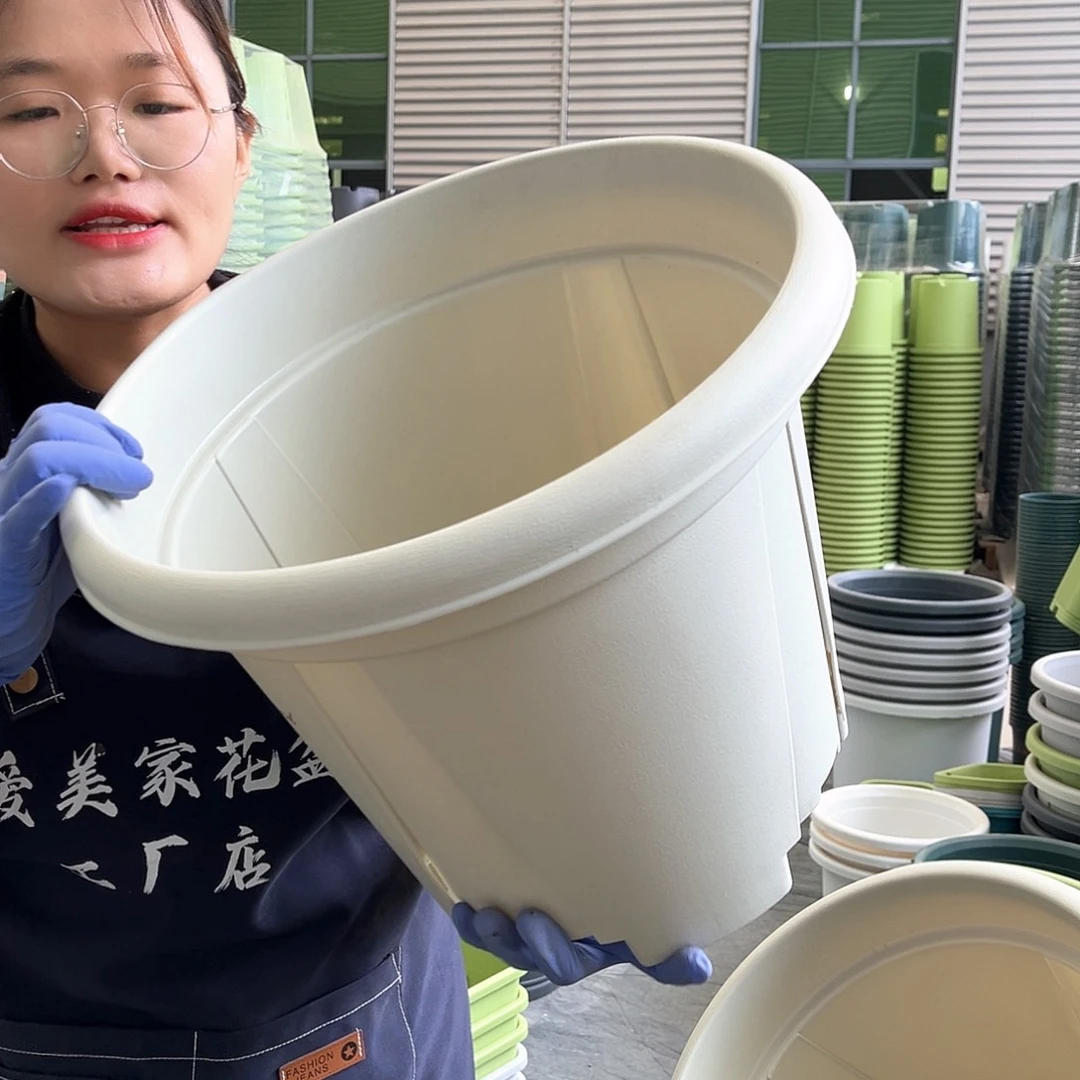 青山盆7#米白色5个无托