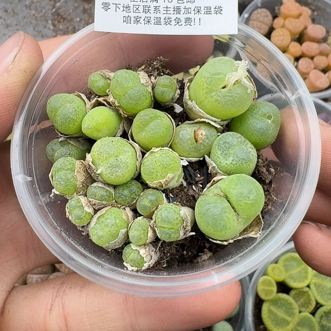 237满18包邮保温袋联系客服