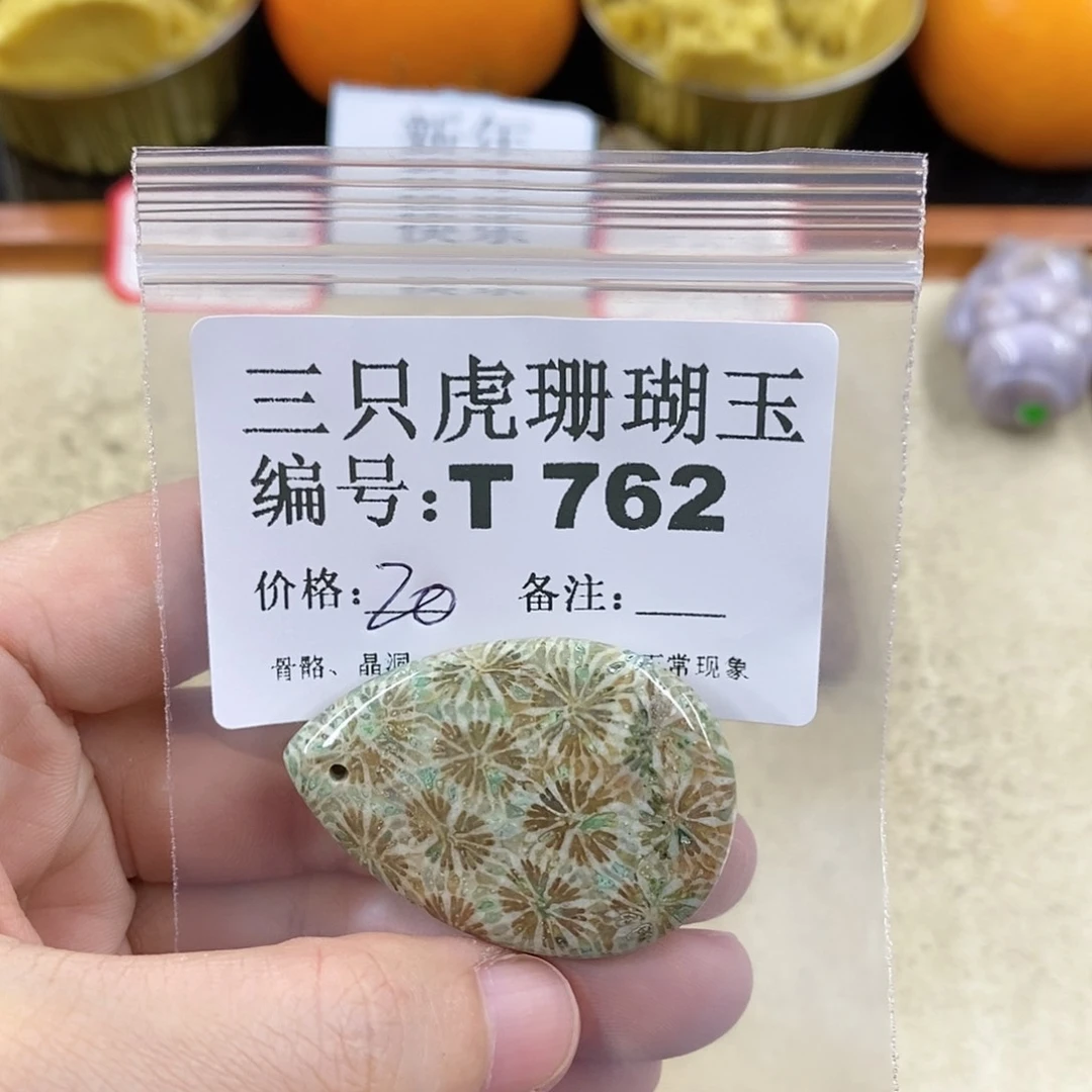 硅化珊瑚（珊瑚玉）1未镶嵌O****g