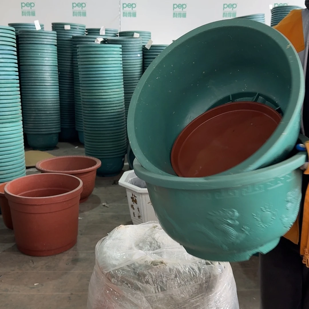 50绿龙盆有孔2个有孔