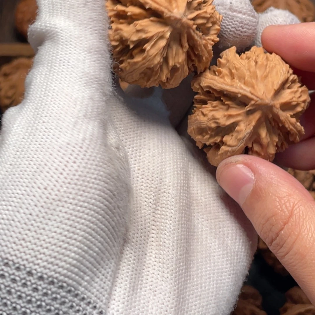 y***g桃核吊坠55 秦岭灯笼野生小众