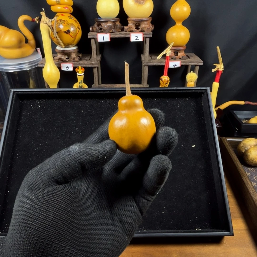 师*洋111111111111111