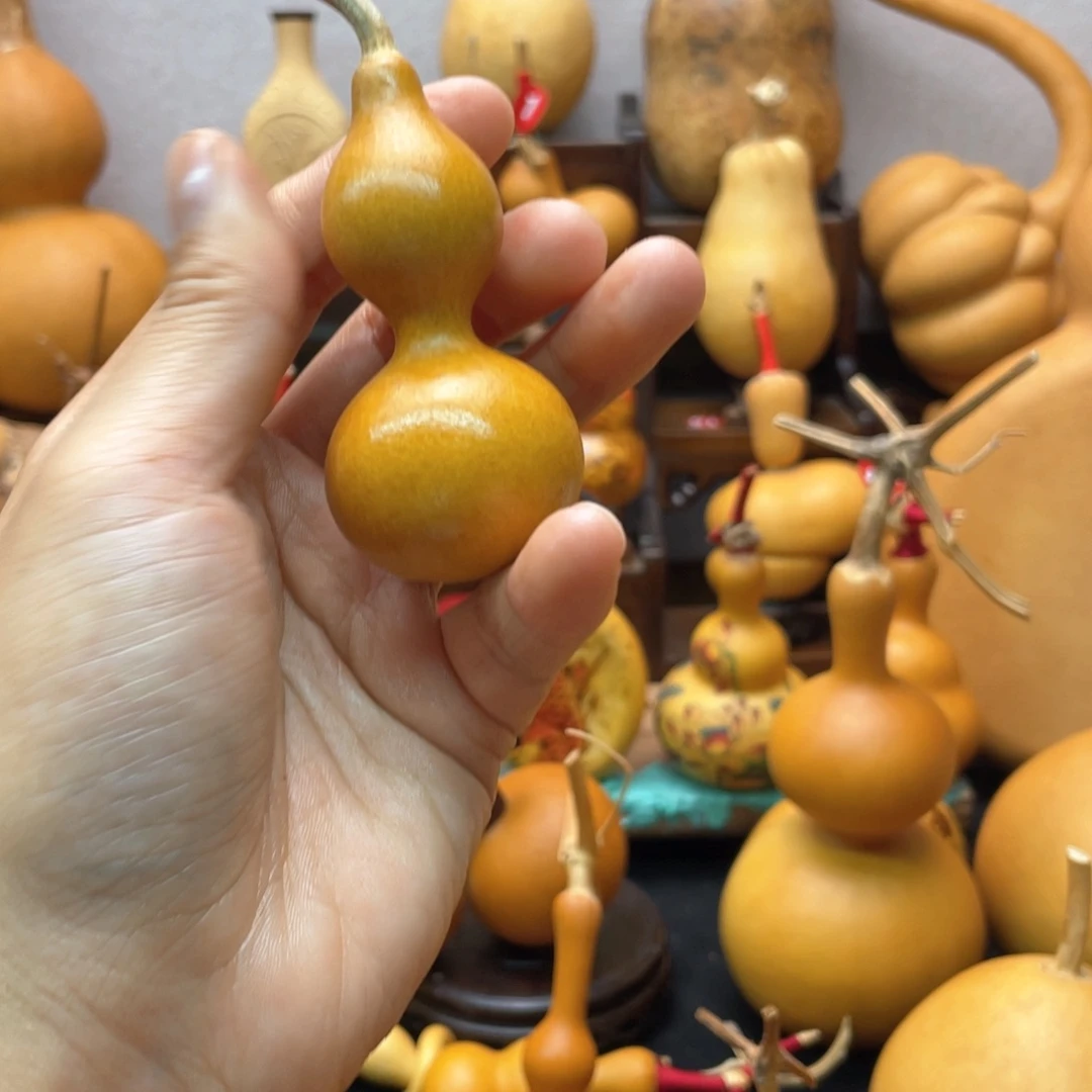 杨*.大自然的秘密是什么啊