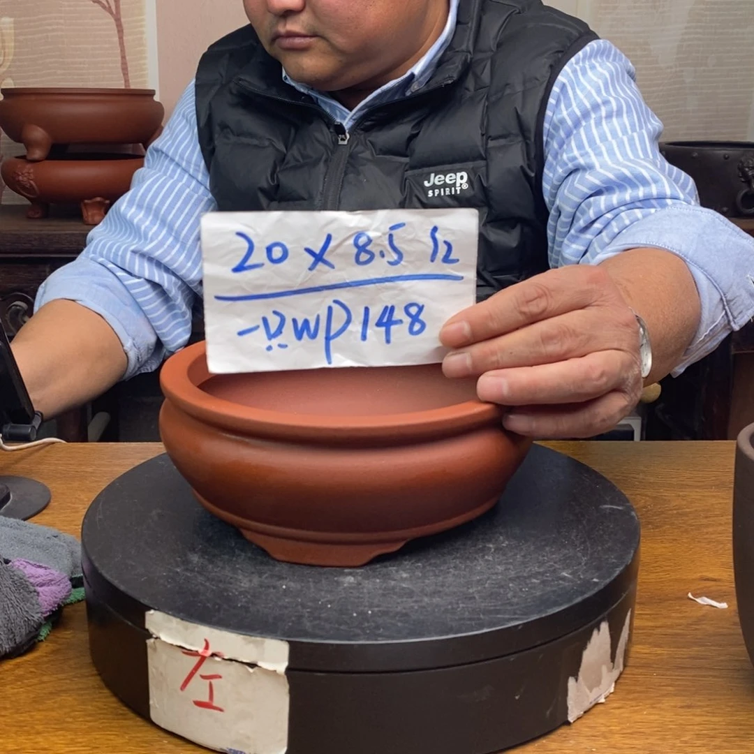 紫砂WP148 货号一只