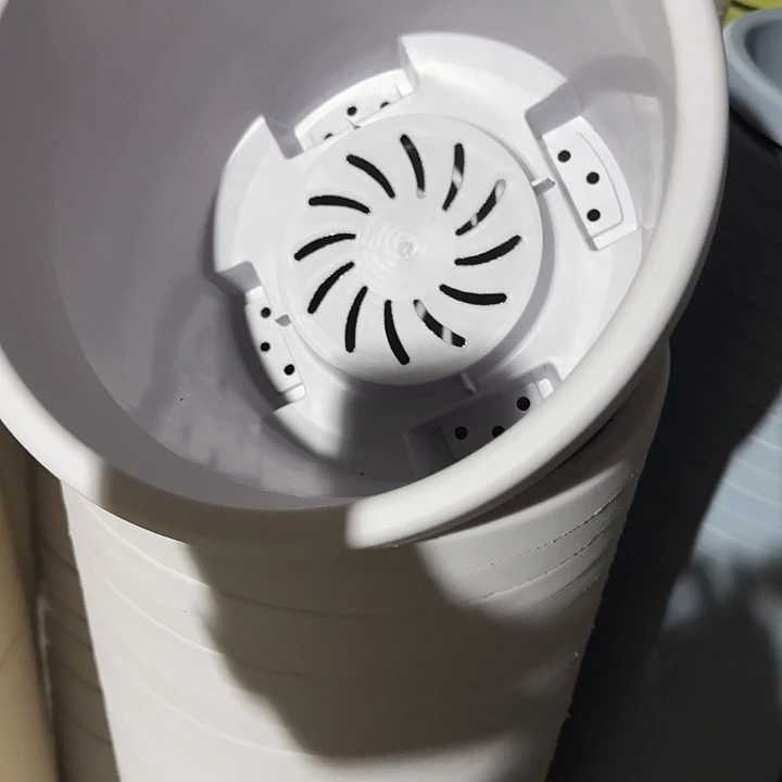 球根3号灰白无托10个