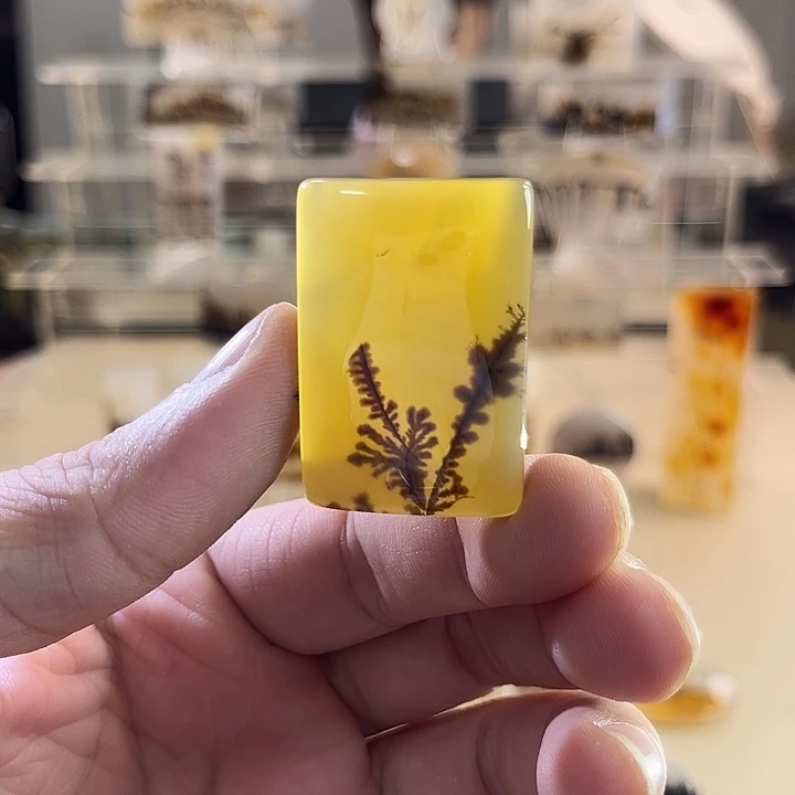 未镶嵌吊坠(不含链)玛瑙/玉髓