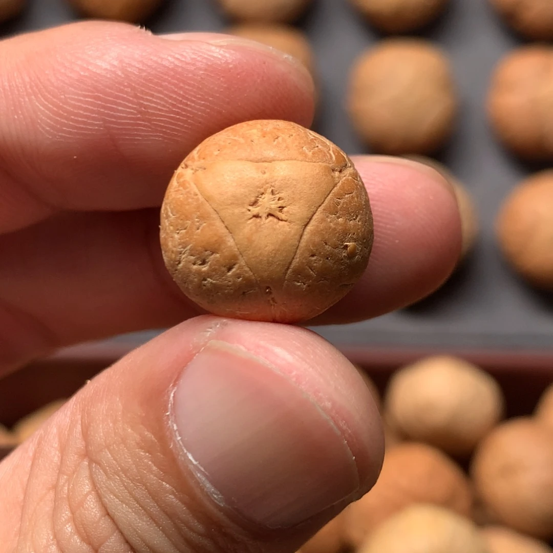 凤眼菩提吊坠15mm厚14mm大眼龙眼