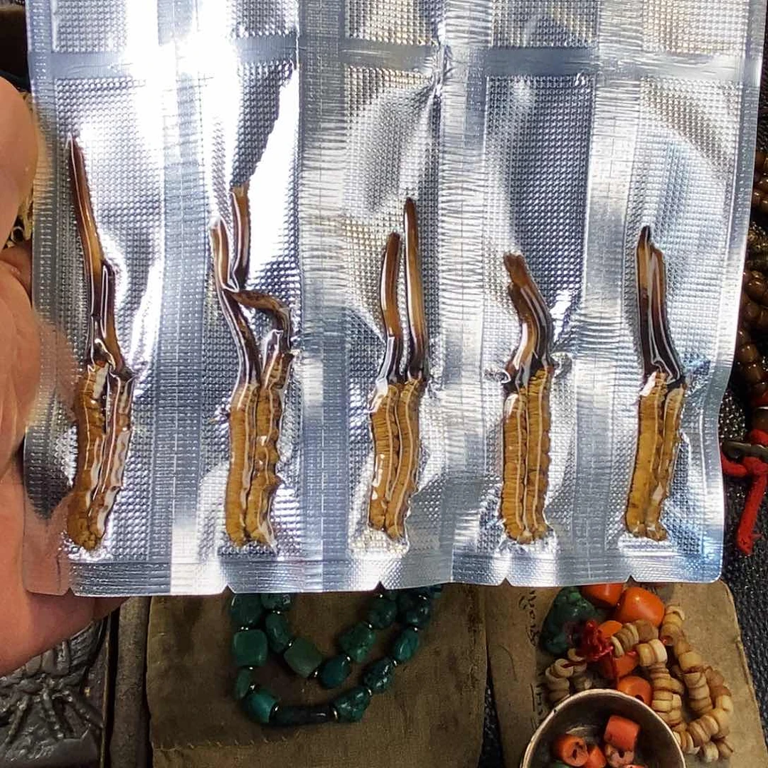 啊啊啊啊啊啊啊啊啊啊