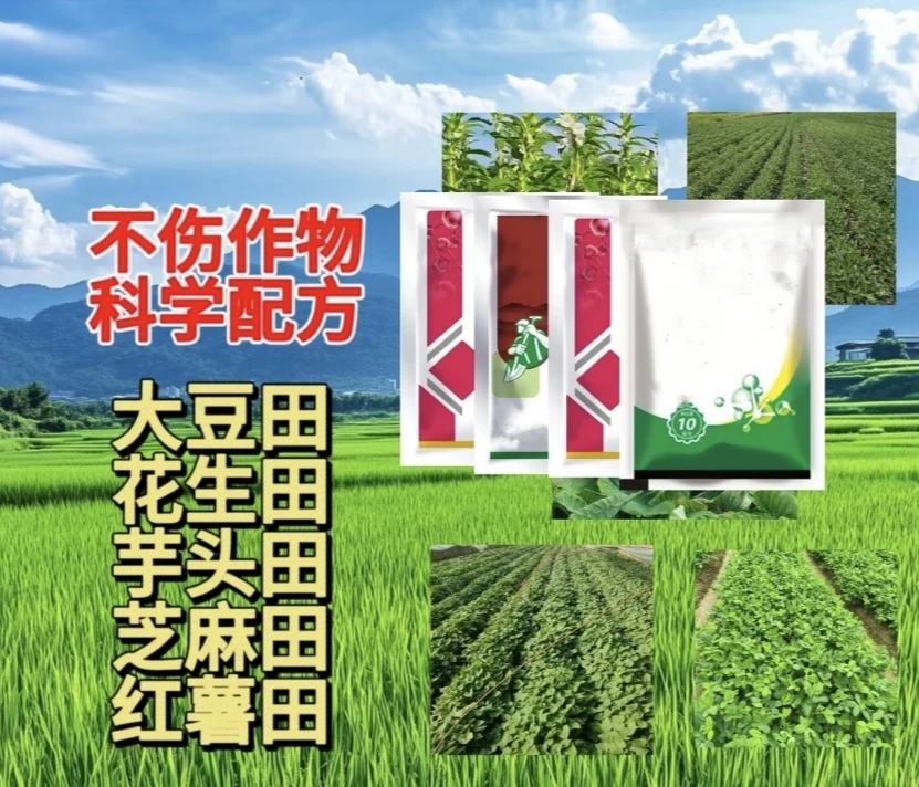 正品保障花生红薯芝麻大豆--四合一{每套到手4包}