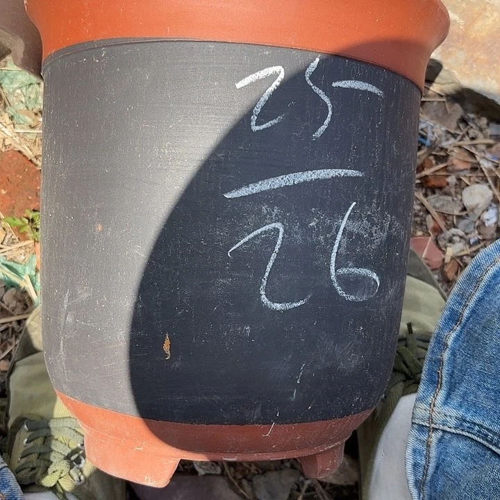 紫泥花盆紫砂花盆