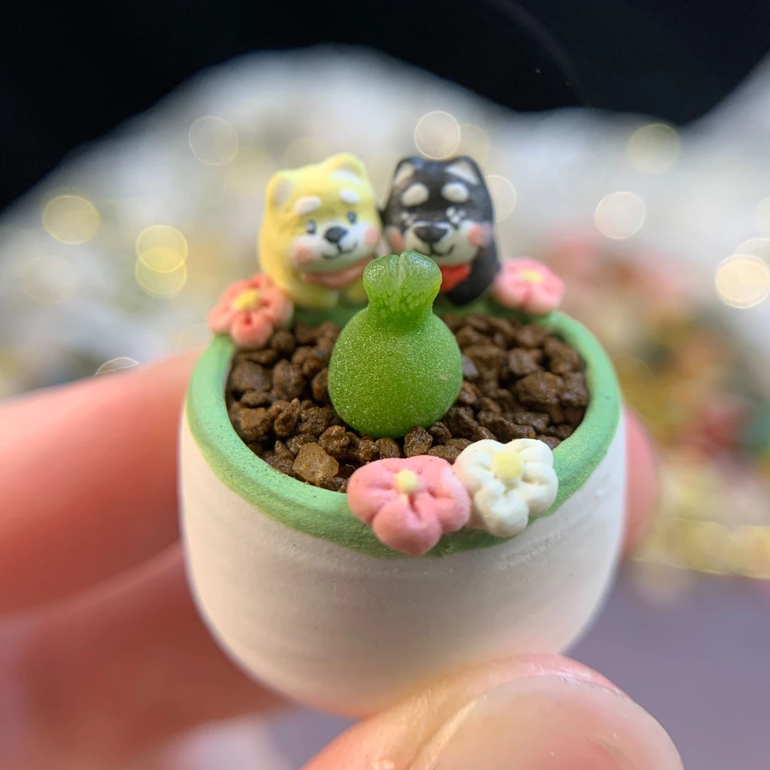 【柠檬七七 原创花盆】定制多肉盆创意盆带肉 盆景任选 满100包邮