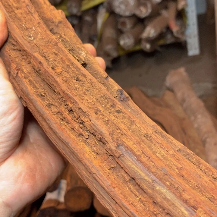 贝壳悠*降真香原料定制