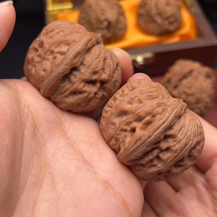 核桃41元宝1111111