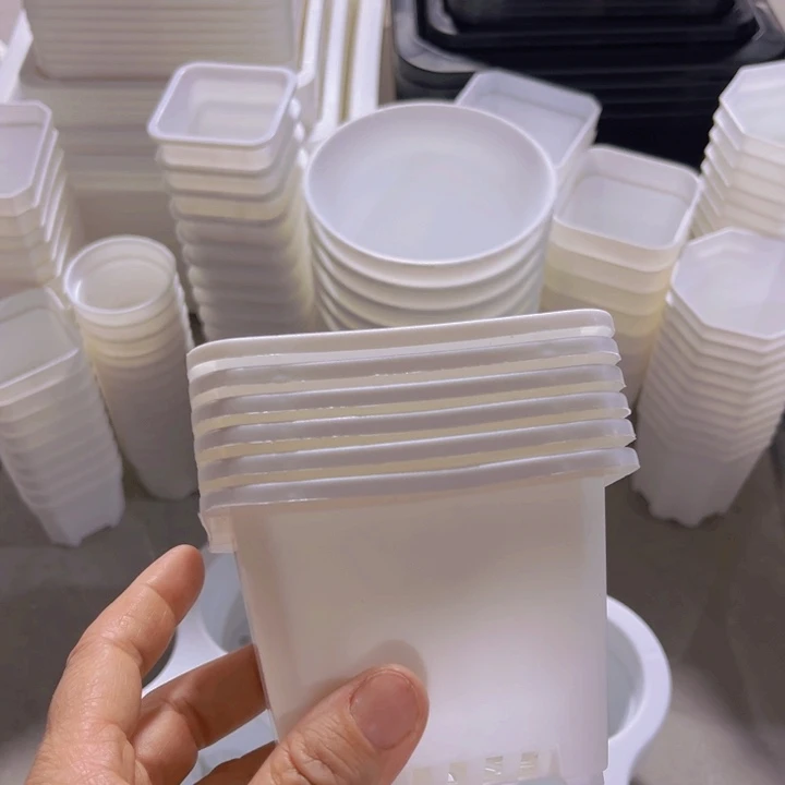 白方口9高7一组30