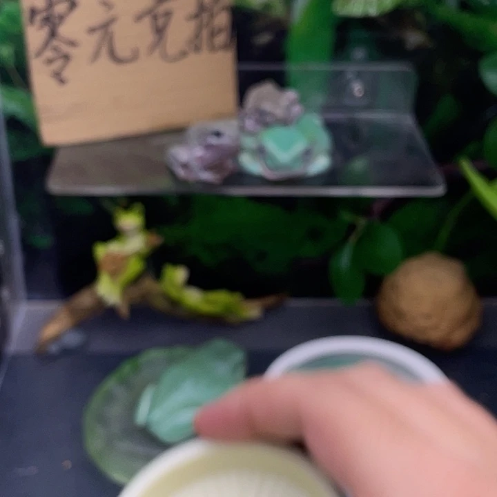 Z***m老爷树蛙7号邮费……