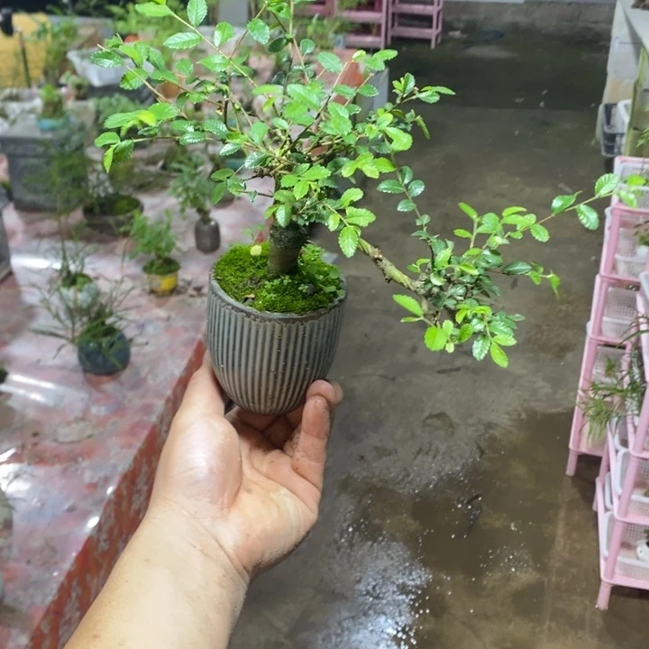@**果退款拉黑一物一拍254