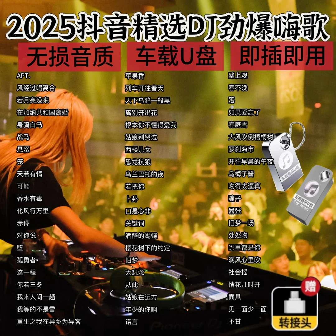 抖音DJ流行歌曲dj最火完整版车载u盘最新款无损音乐U盘黑胶唱片