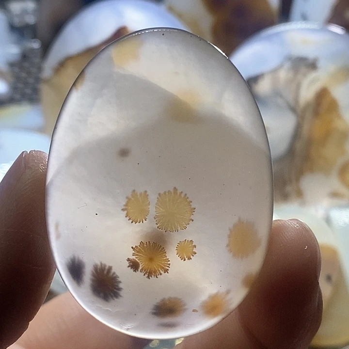 未镶嵌颈饰玛瑙/玉髓