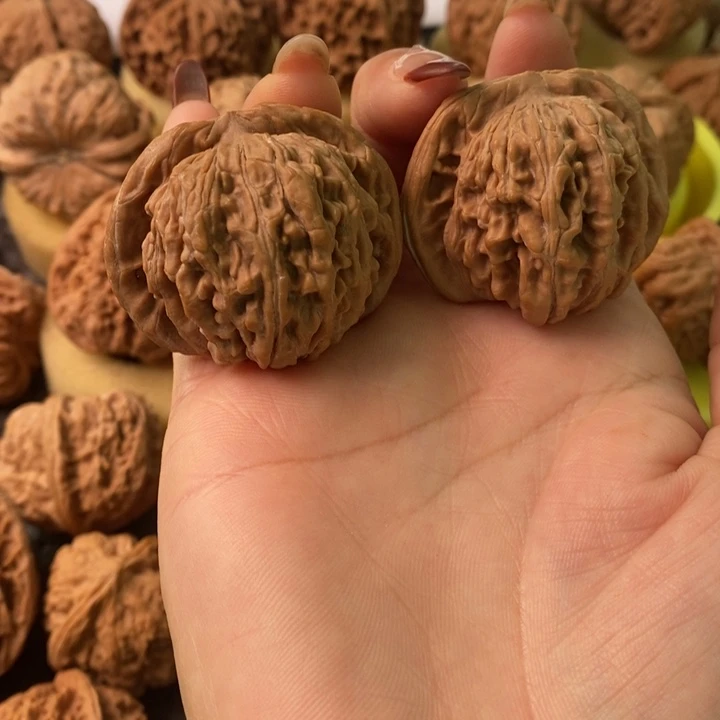 烟*44全品四座楼无修无修无修无修