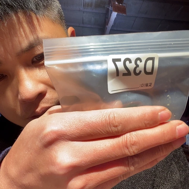 大果紫檀（缅甸花梨）327