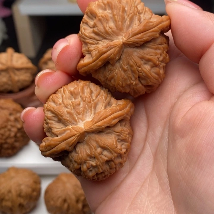 小****文玩核桃把件白狮子