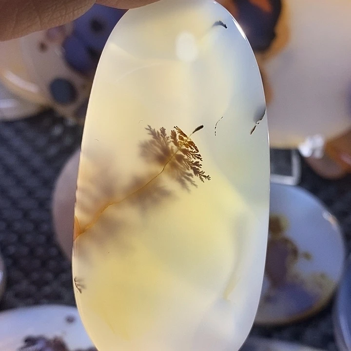未镶嵌颈饰玛瑙/玉髓深*鲨