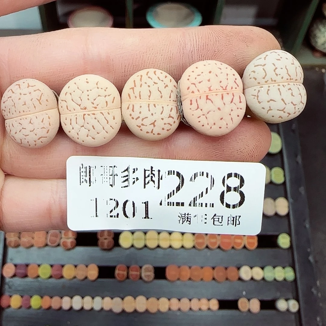 满满18包邮1201-228