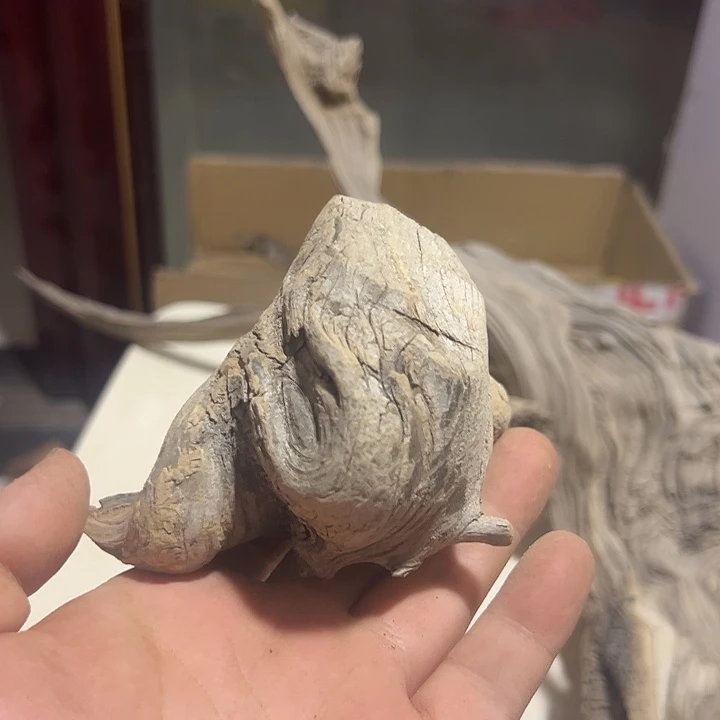 柏木（崖柏）立***抵太行工艺品