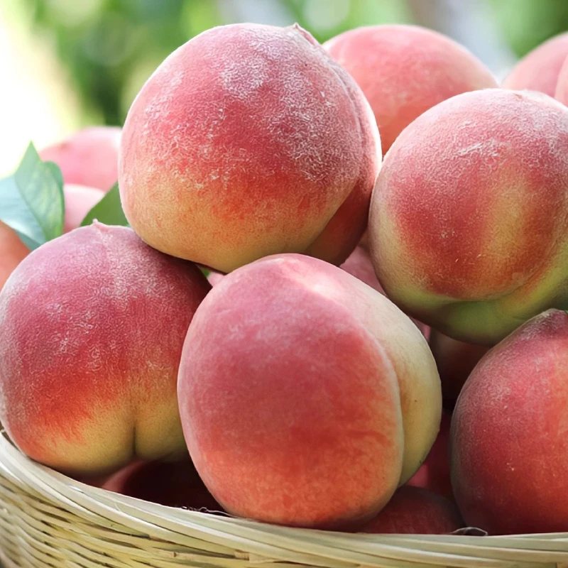【台农7号水蜜桃】蜜桃脆甜毛桃新鲜水果离核硬桃应季高山桃