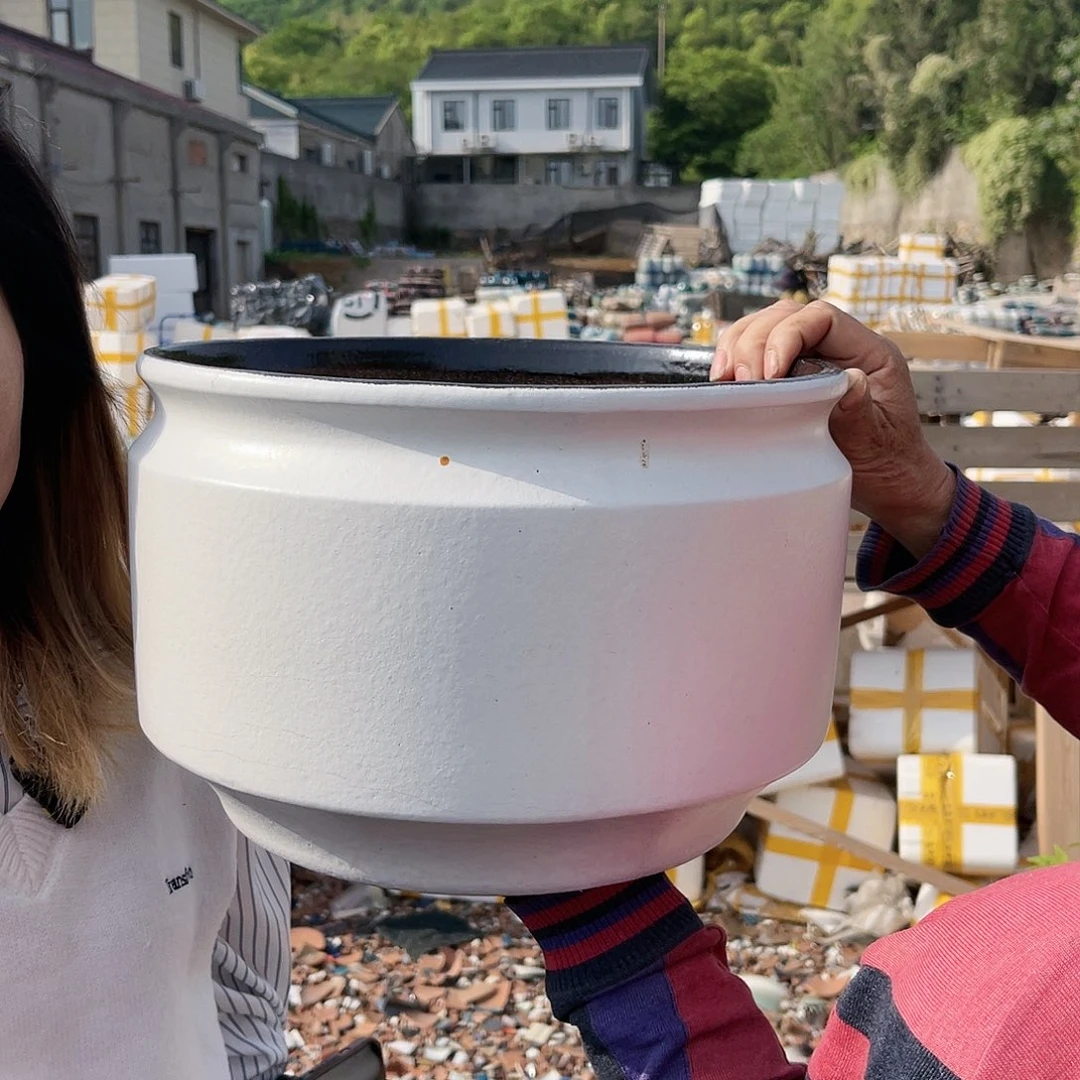 王嫂花盆直播0425-a504