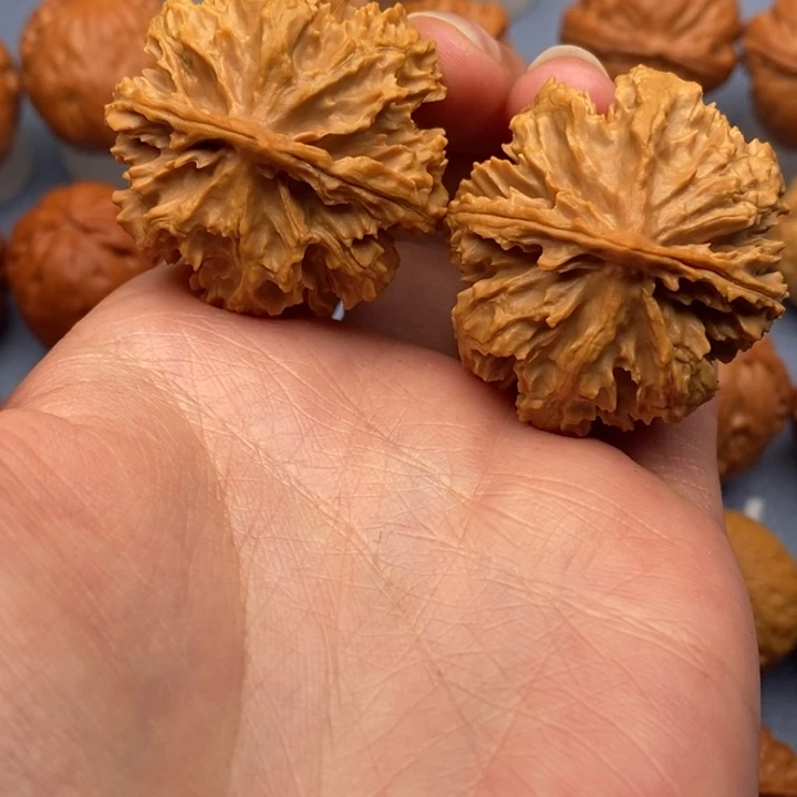 文玩核桃把件D***a花王粗筋