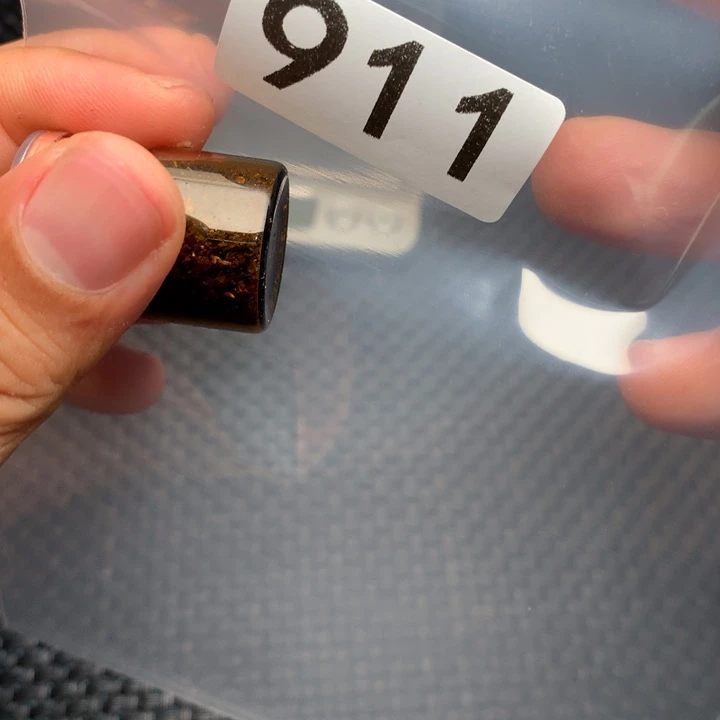 大果紫檀（缅甸花梨）