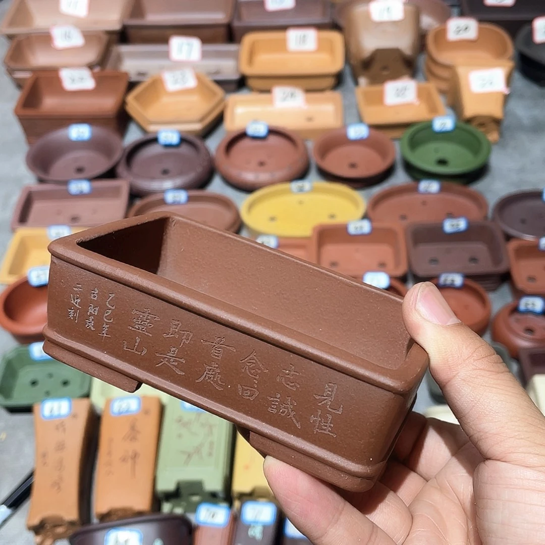 紫砂小盆10.5*6.5*2.5