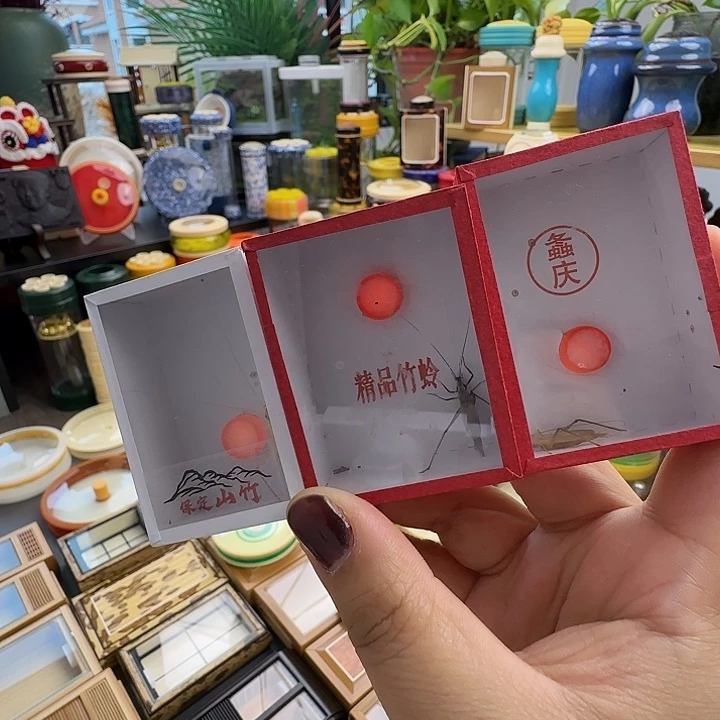 紫竹➕山竹➕柬竹啊啊啊啊