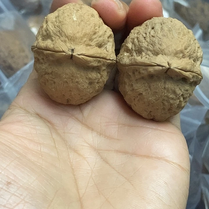 文玩核桃把件云南铁核桃基地30