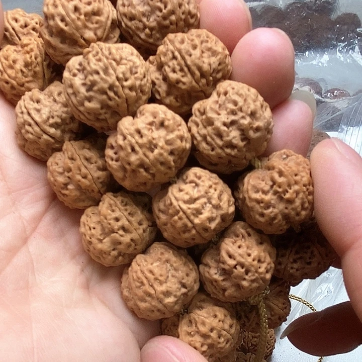 金刚菩提吊坠5瓣20龙牙梅花