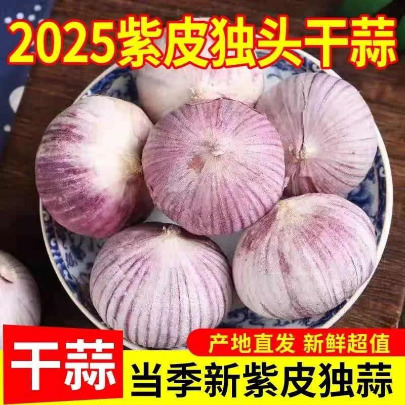 紫皮独头蒜独头大蒜干蒜2025年新干蒜