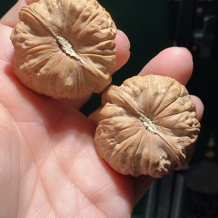 文玩核桃把件44南瓜墩全品