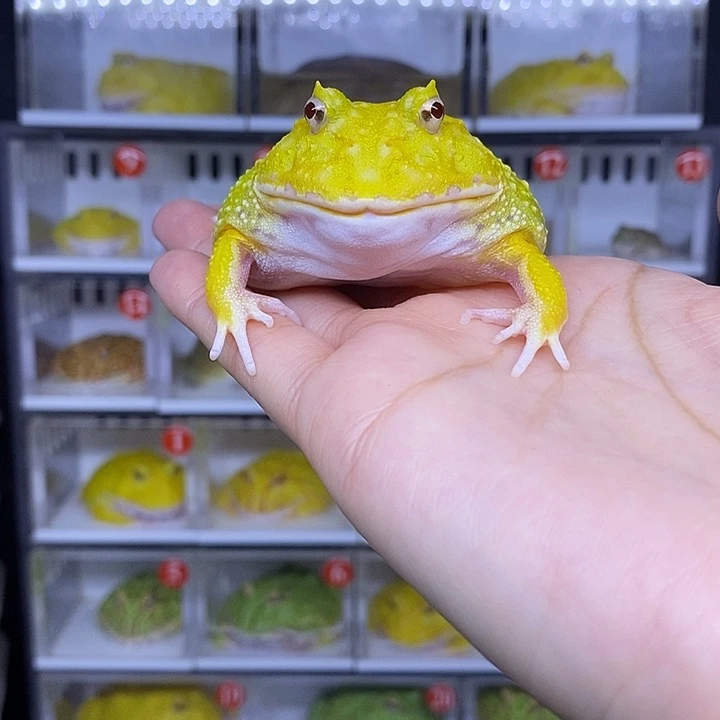 特价秒杀活动地址