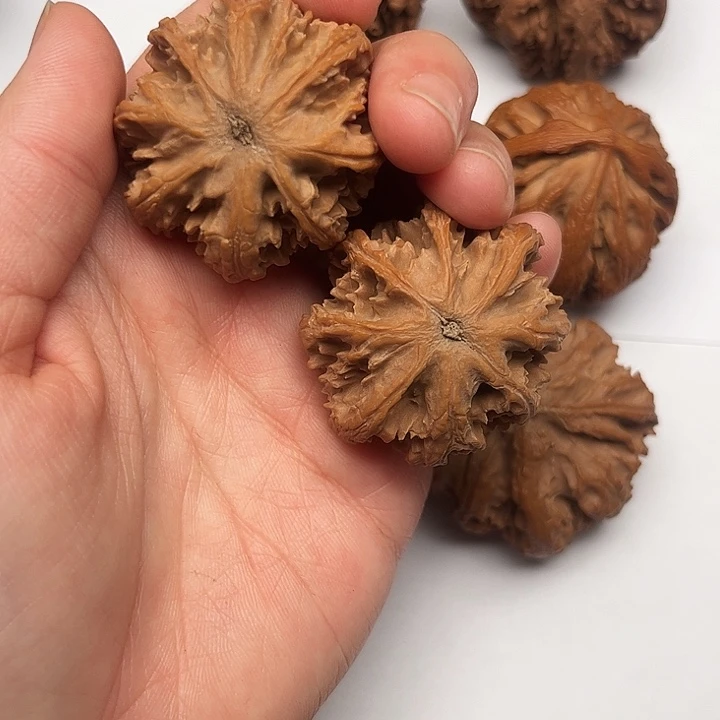 核桃秦岭文玩核桃核桃