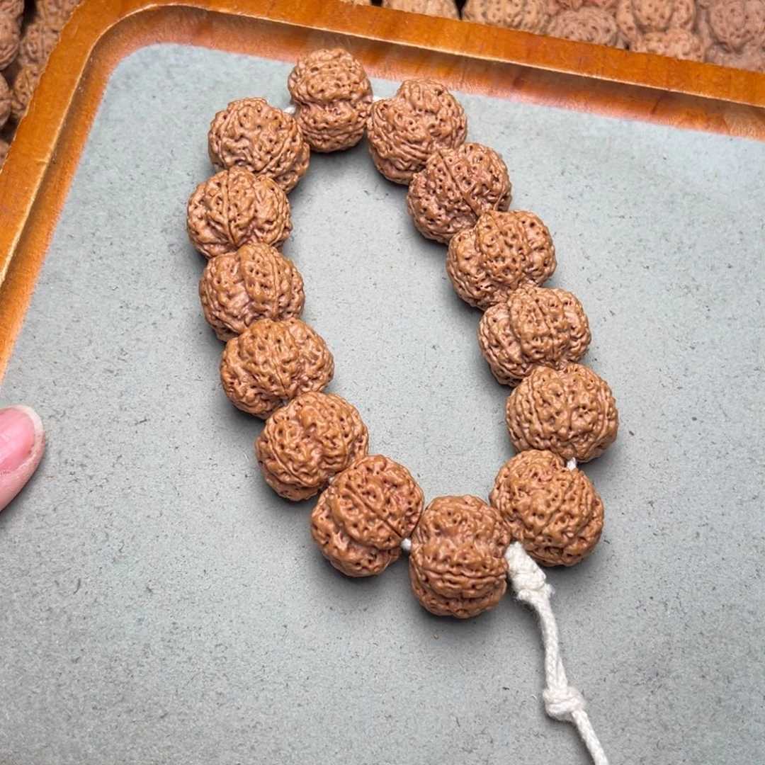 菩提3号金刚菩提古龙梅花23